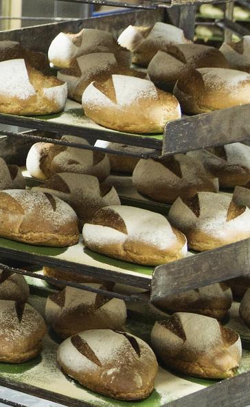 Foto: Bakplaten met versgebakken biologisch brood.